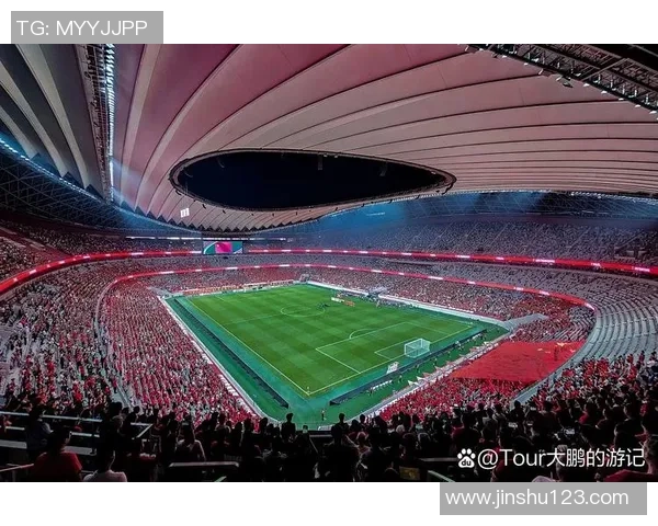 埋汰足球的背后真相与球迷文化的深层次探讨